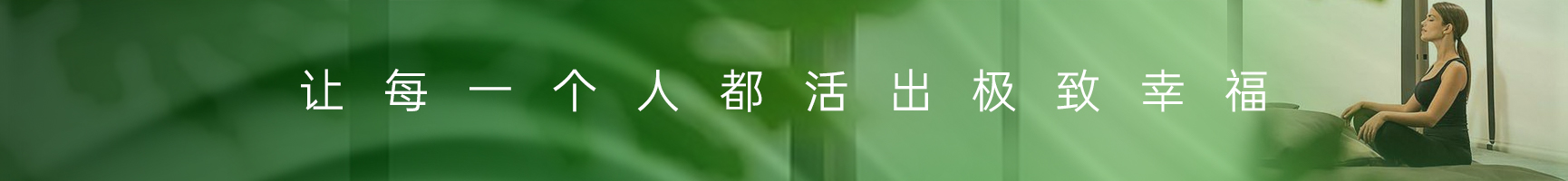 描述
